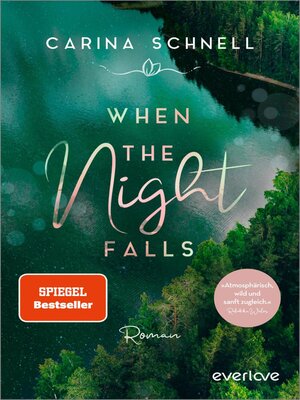 cover image of When the Night Falls